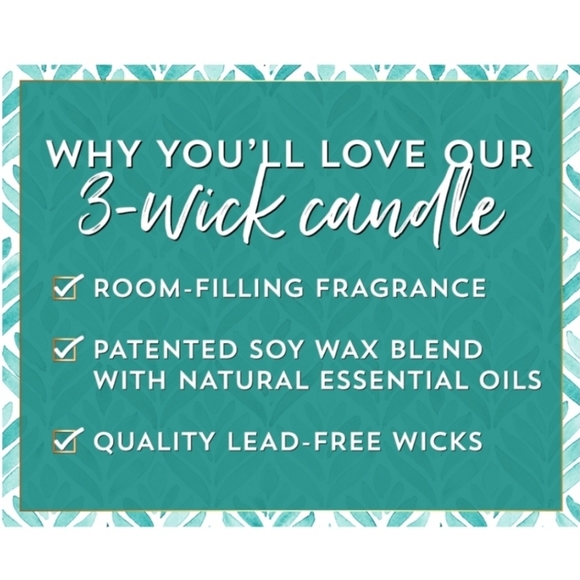 🛍BOGO 50% OFF❄️🍑🕯NWT‼️ White Barn "Snowy Peach Berry" 3-wick Candle - Picture 8 of 10